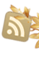 My RSS feed