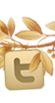 Twitter feed